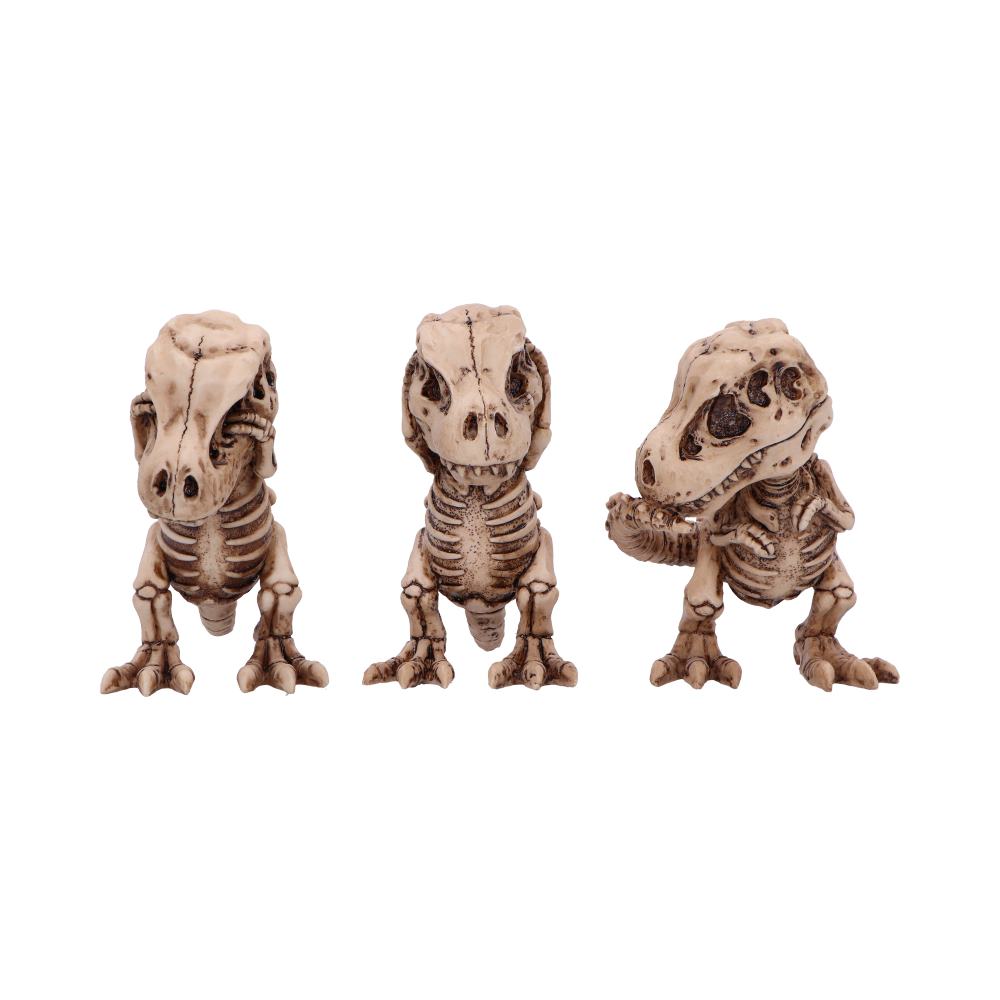 Three Wise Tyrannosaurus Rex Skeletons