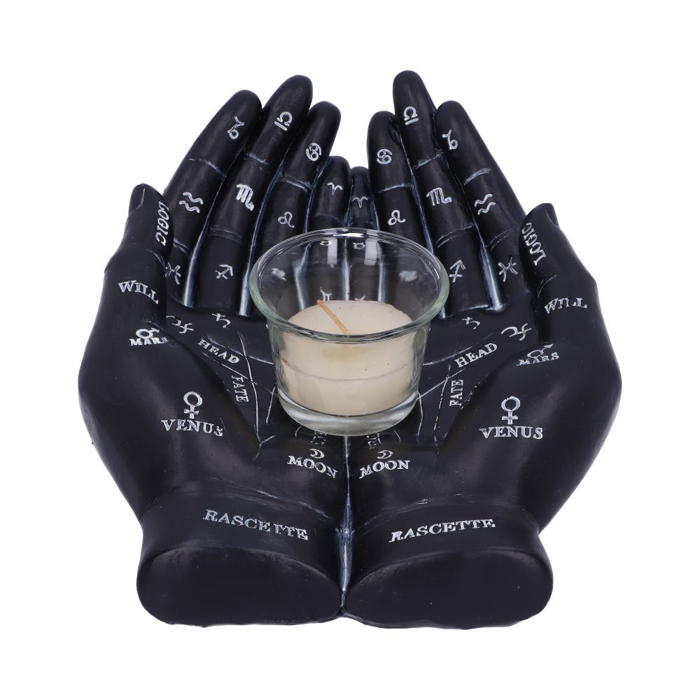 Palmist's Guide (Black) 22.3cm