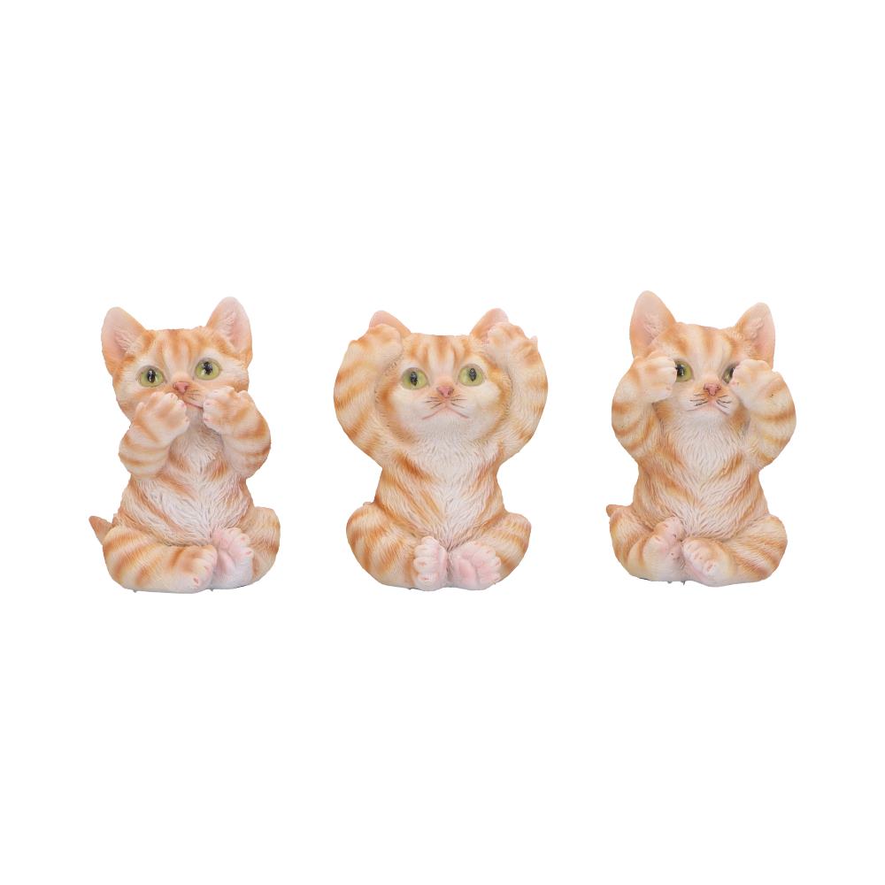 Three Wise Ginger Cats